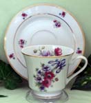 Iris Spray Catherine Cup & Saucer   