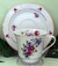 392-109 - Iris Spray Catherine Cup & Saucer   