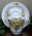 392-208 - Daffodil Catherine Cup & Saucer     