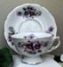 394-166 - Pansy Laurel Cup & Saucer        