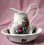 Iris Large Pitcher & Bowl   