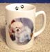 MUG-089 - Bichon Plain Mug