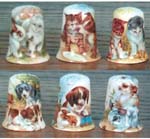 Pets Thimble-6 Assorted 